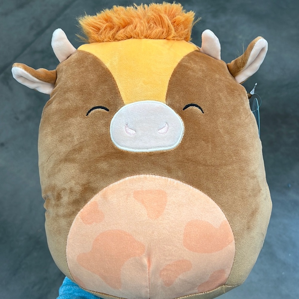 Squishmallow QUINICK the BROWN COW! BNWT & HTF! 10”